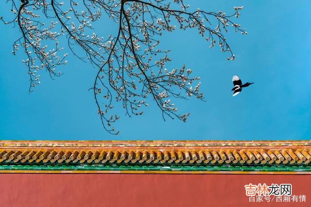 有一本书中 运气从来都不是等来的，人的好运，是一种磁场