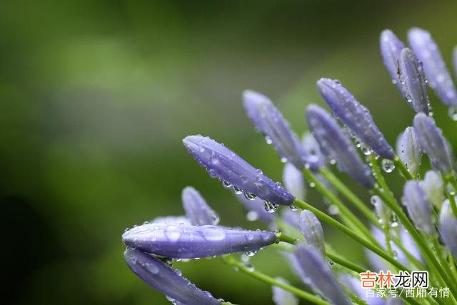 有一本书中 运气从来都不是等来的，人的好运，是一种磁场