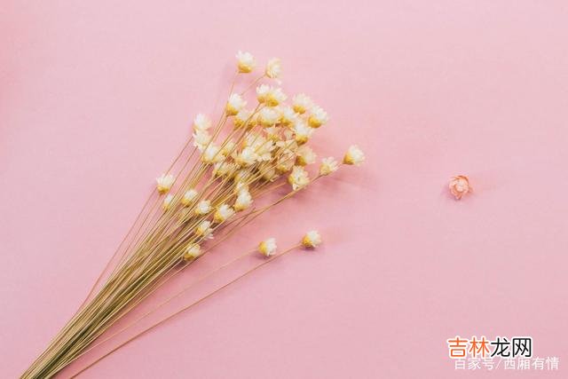 有一本书中 运气从来都不是等来的，人的好运，是一种磁场