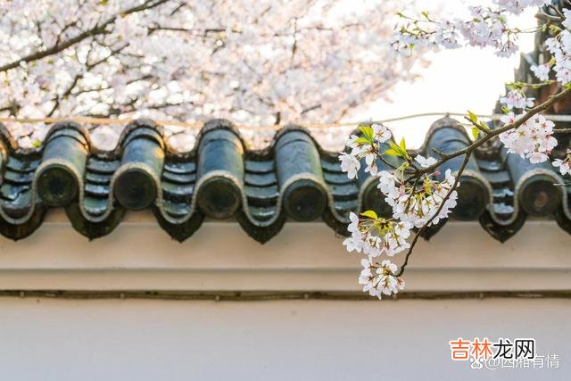 有一本书中 运气从来都不是等来的，人的好运，是一种磁场