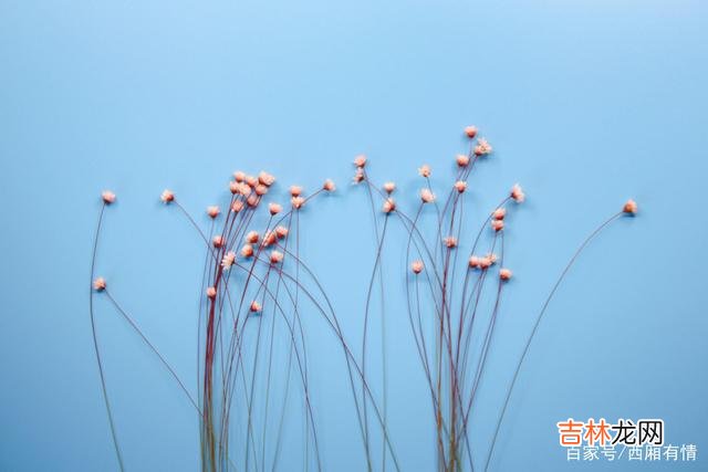 有一本书中 运气从来都不是等来的，人的好运，是一种磁场