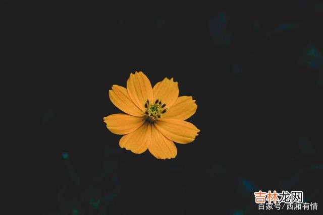 无论是恋爱 男人渴望在以下3个方面获得满足，他会迷上你