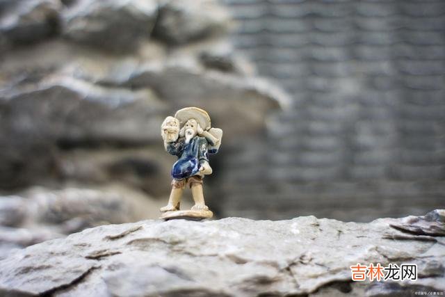 一切事物的发展 让一个家庭走向衰败的怪事，究竟指的是什么呢？