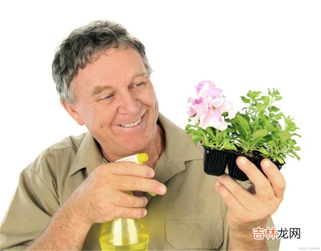 人到六十才明白，成功不是拥有财富，而是拥有这些东西