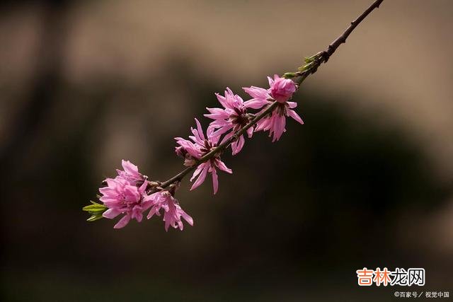 俗话说 善良的人，在行善的过程之中，会得到三种“福气”