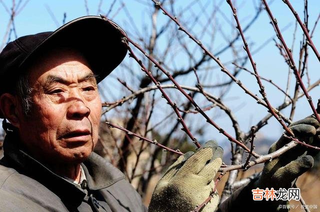 01.生而为人 人到中年,只有学会对身边的这三种朋友绝情,才能避免招灾惹祸