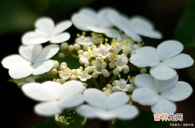 俗话说 人生是一场旅行，只有谨慎前行，才能不负自己，也不负人生