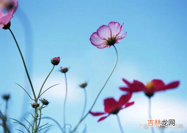 有的时候 人与人之间的交往，为什么感情不可以随便用来开玩笑