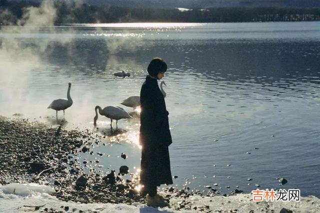 人是群居性动物 低质量的社交，如何给自己温暖？