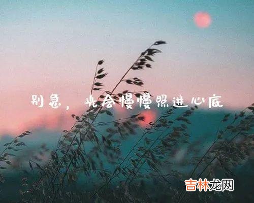 感情可以这么伤，那么到底该如何放下一段感情？