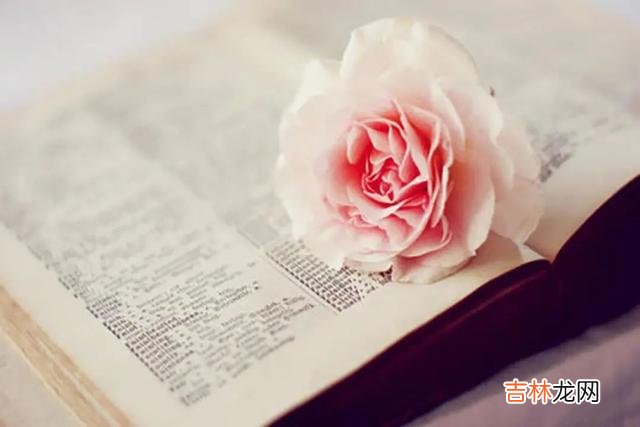 小时候 人的年纪越大，为什么会变得越感性，这个可能与自己的经历有关