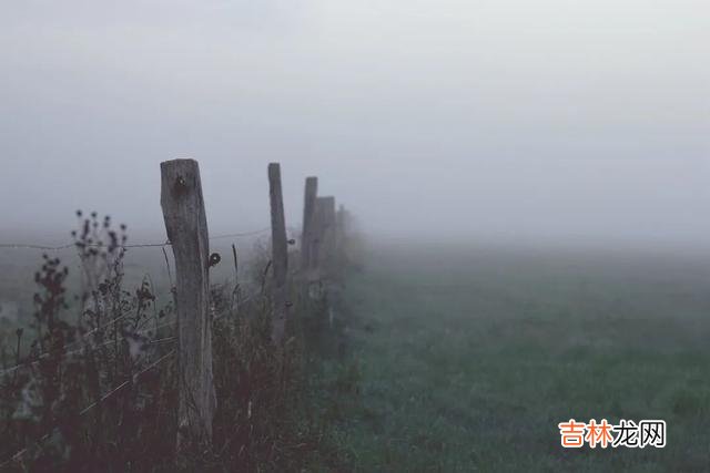 真正美好的感情 男人一旦动情了，就会有这些比较显著的变化