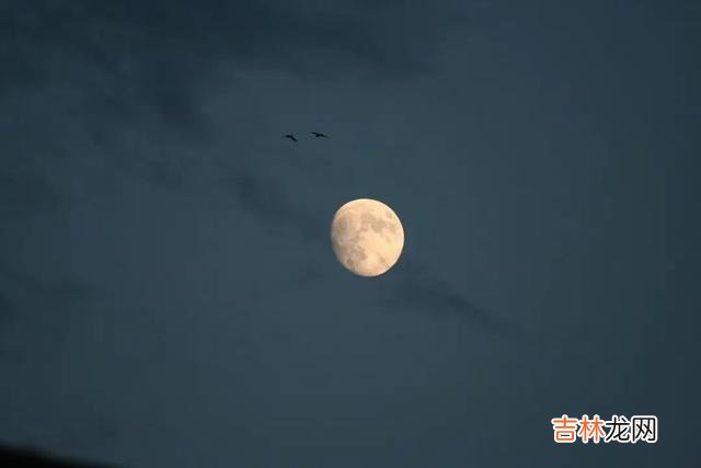 真正美好的感情 如何判断一个男人是否真的在乎你呢？不妨从以下几个细节入手