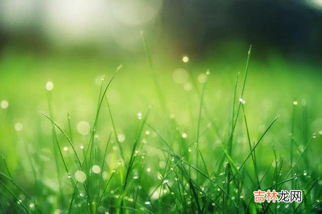 真正美好的感情 当你决定跟一个男人交往之前，首先要认清他是否真的爱你