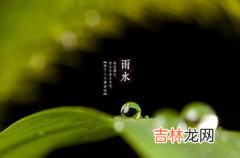 雨水节气出生的兔宝宝好吗 雨水节气出生的兔宝宝取名