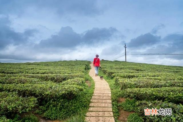 分手见人品。|分手后，男人这样对你，表明他心里一直放不下你