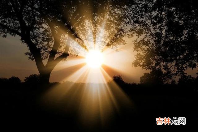 什么是不该爱的人？这个问题因人而异。|当你爱上了一个不该爱的人，最正确的选择就是果断放手