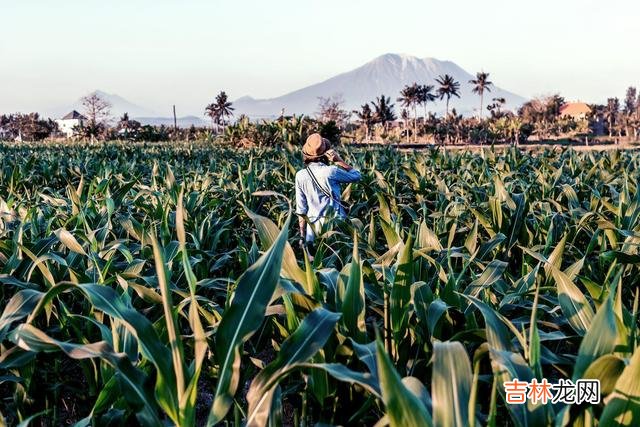 真正美好的感情 若不是对你一往情深，男人不会把这些话挂在嘴边