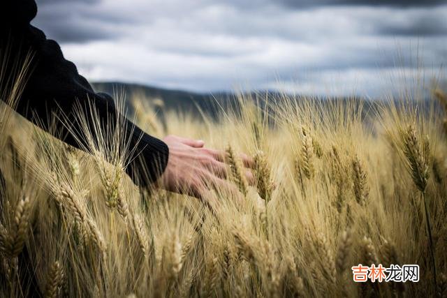 人到中年 一个中年男人爱不爱你，这些细节不会说谎