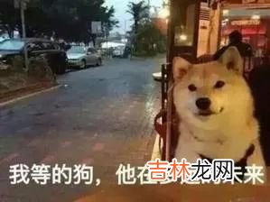 为什么嗑CP开心，看别人秀恩爱却不爽？