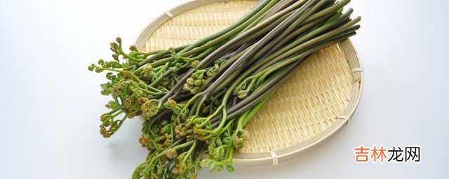 蕨菜是什么味道 关于蕨菜的味道介绍