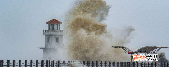 杨芬港属于什么地区