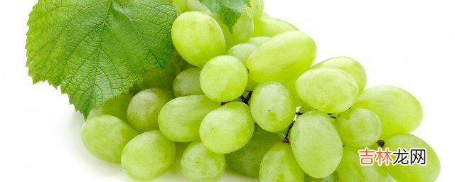 grapes怎么读  grapes如何读