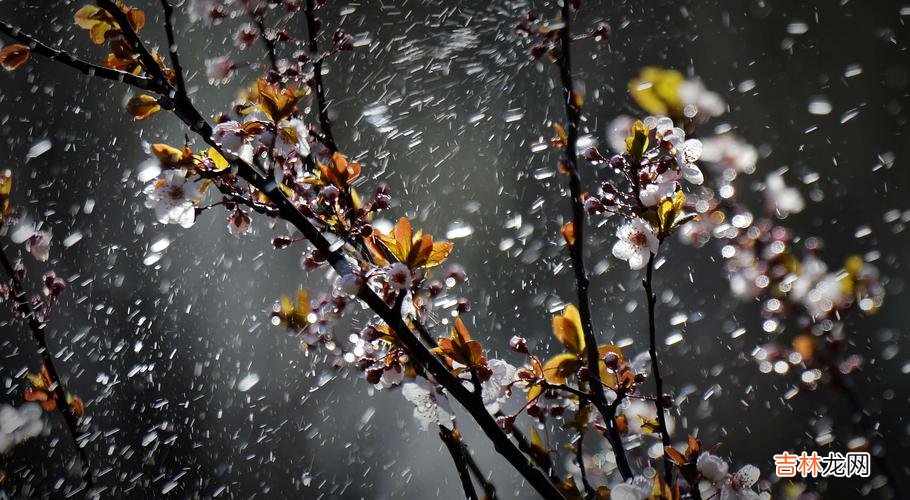 雨字取名忌讳什么姓 女孩带雨的名字洋气点