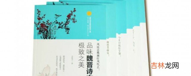 关于文学的名言名句  关于文学的名言名句有哪些