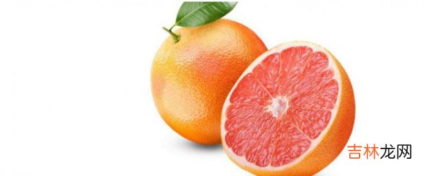西柚的功效与作用吃法介绍