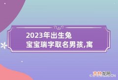 兔年带瑞的男孩名字 最新带瑞字的男孩名字