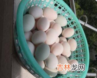 咸蛋如何腌制方法