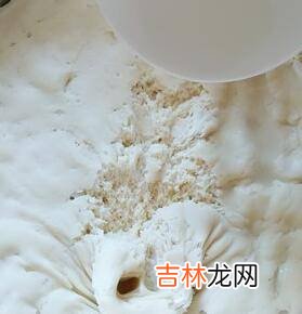 黑面馒头的制作方法和步骤