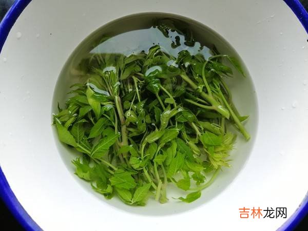 红香椿怎么吃