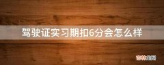 驾驶证实习期扣6分会怎么样?