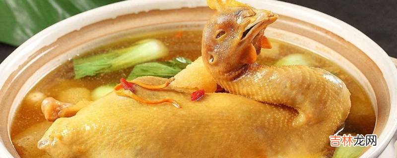 鸡怎么炖