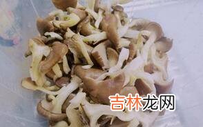 蘑菇怎么烧