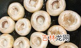 蘑菇怎么烧