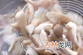 蘑菇怎么烧
