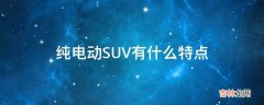 纯电动SUV有什么特点?