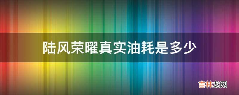 陆风荣曜真实油耗是多少?