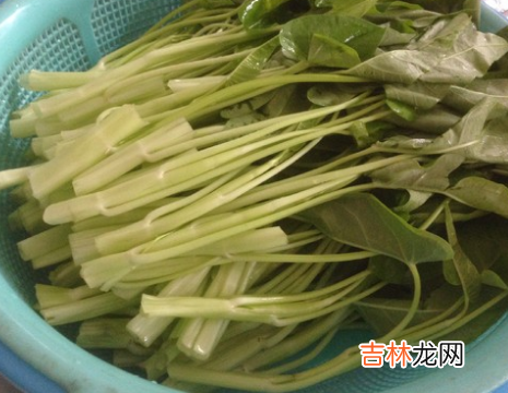 通心菜怎么煮才好吃