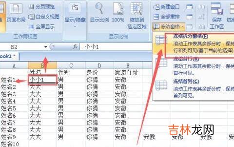 怎么冻结表格的某一行和某一列