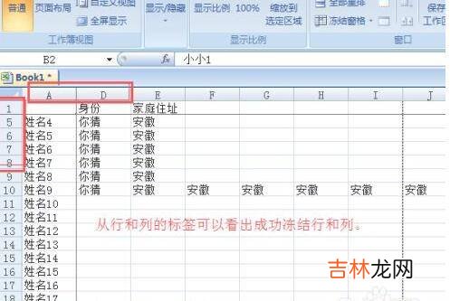 怎么冻结表格的某一行和某一列