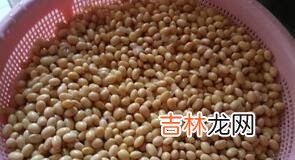 霉豆子的制作方法