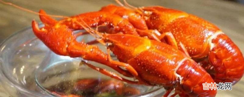 软甲壳食物有哪些
