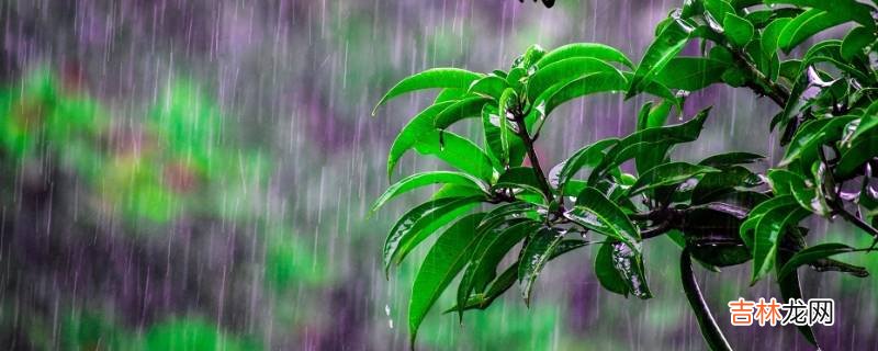 谷雨节气的特点和风俗