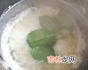 韭菜鸡蛋面条怎么做好吃