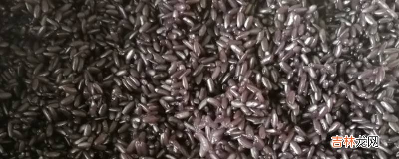 黑色糯米饭怎么做才黑