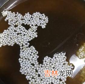黑色糯米饭怎么做才黑